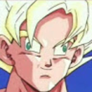 Meet your Posher, Wesley